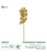 GloboStar® Artificial Garden CHAMPAGNE CYMBIDIUM BRANCH 21408 Τεχνητό Διακοσμητικό Κλαδί Σαμπανί Κυμβίδιο  Y75cm